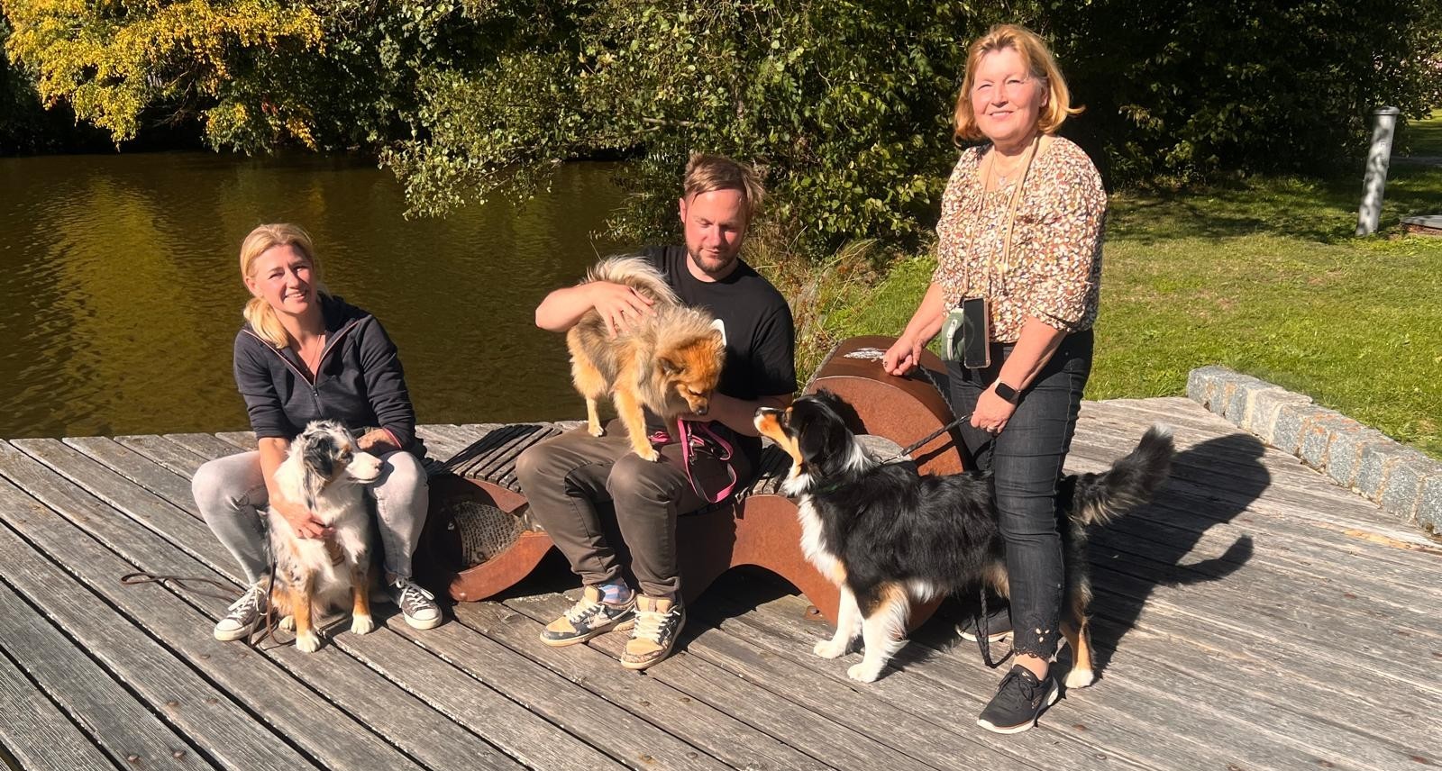 Trainingssituation mit sensiblen Hunden