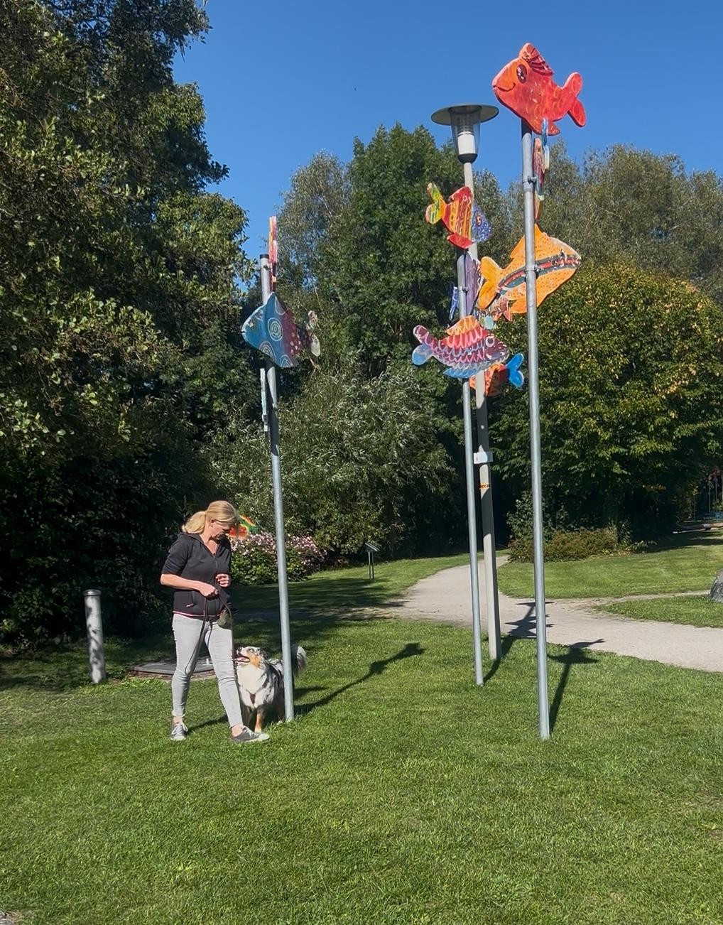 Damaris arbeitet mit einem Hund in ruhiger Umgebung