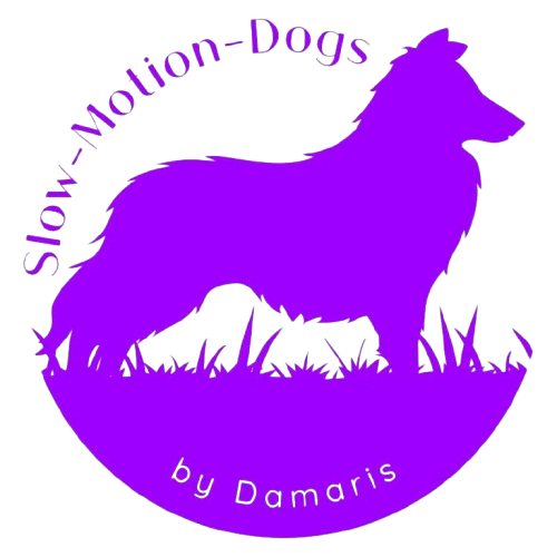 Violettes Logo mit langhaarigem Hund auf schwarzem Grund