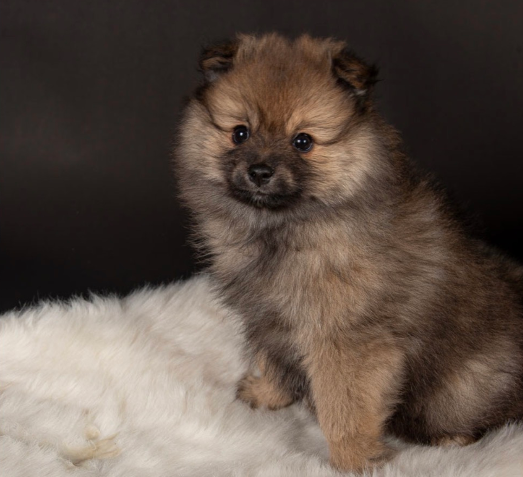 Neues aus der Wurfkiste