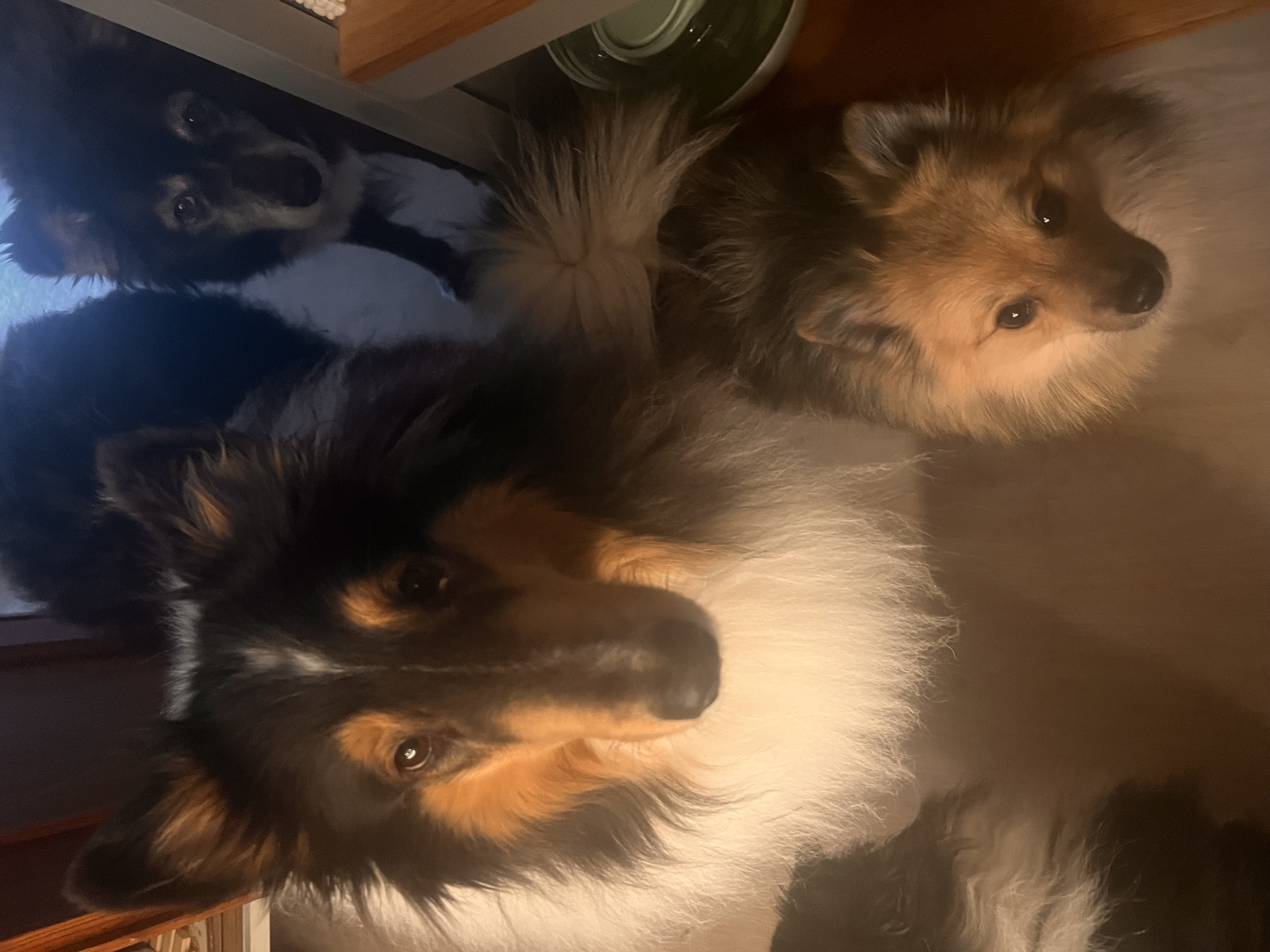 Murphy´s Weisheiten – Jahreswechsel