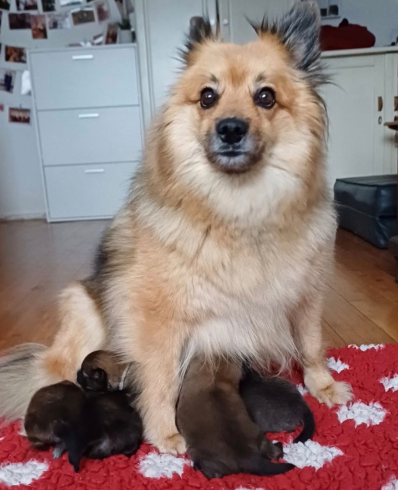 Neues aus der Wurfkiste