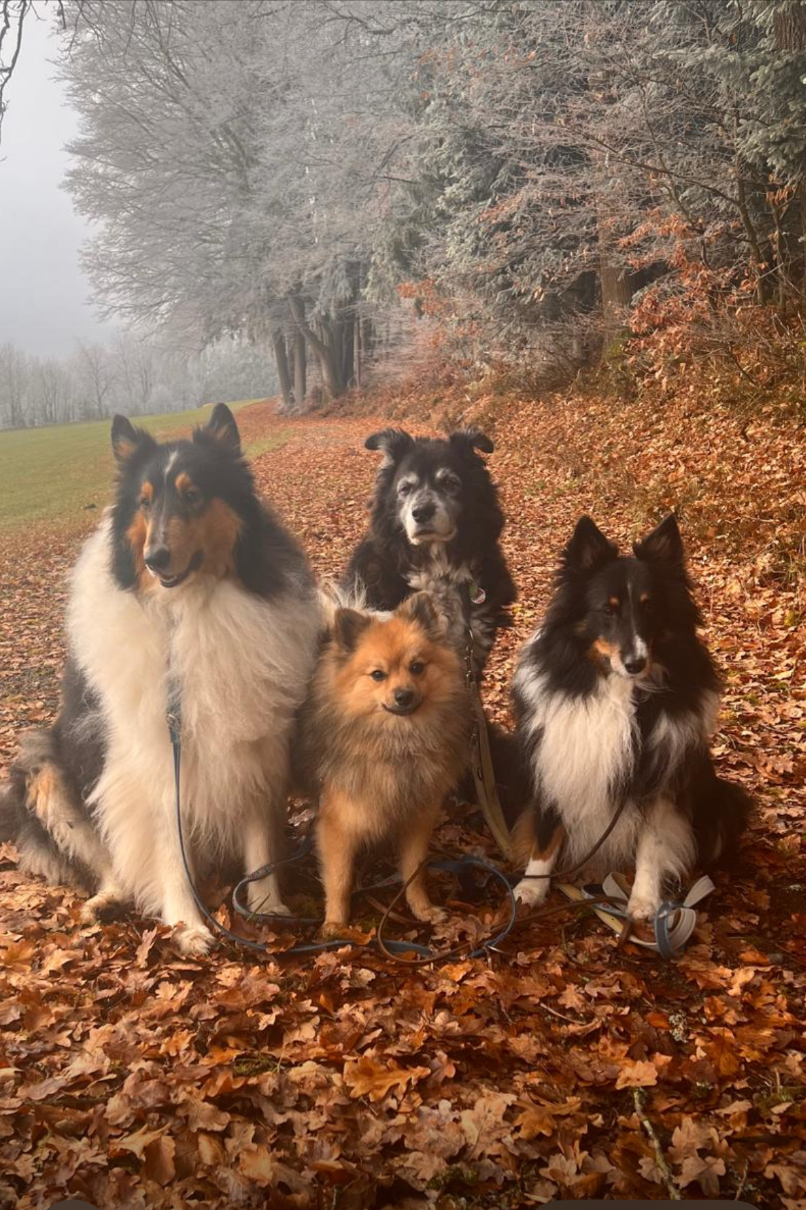 Murphy stellt sich vor