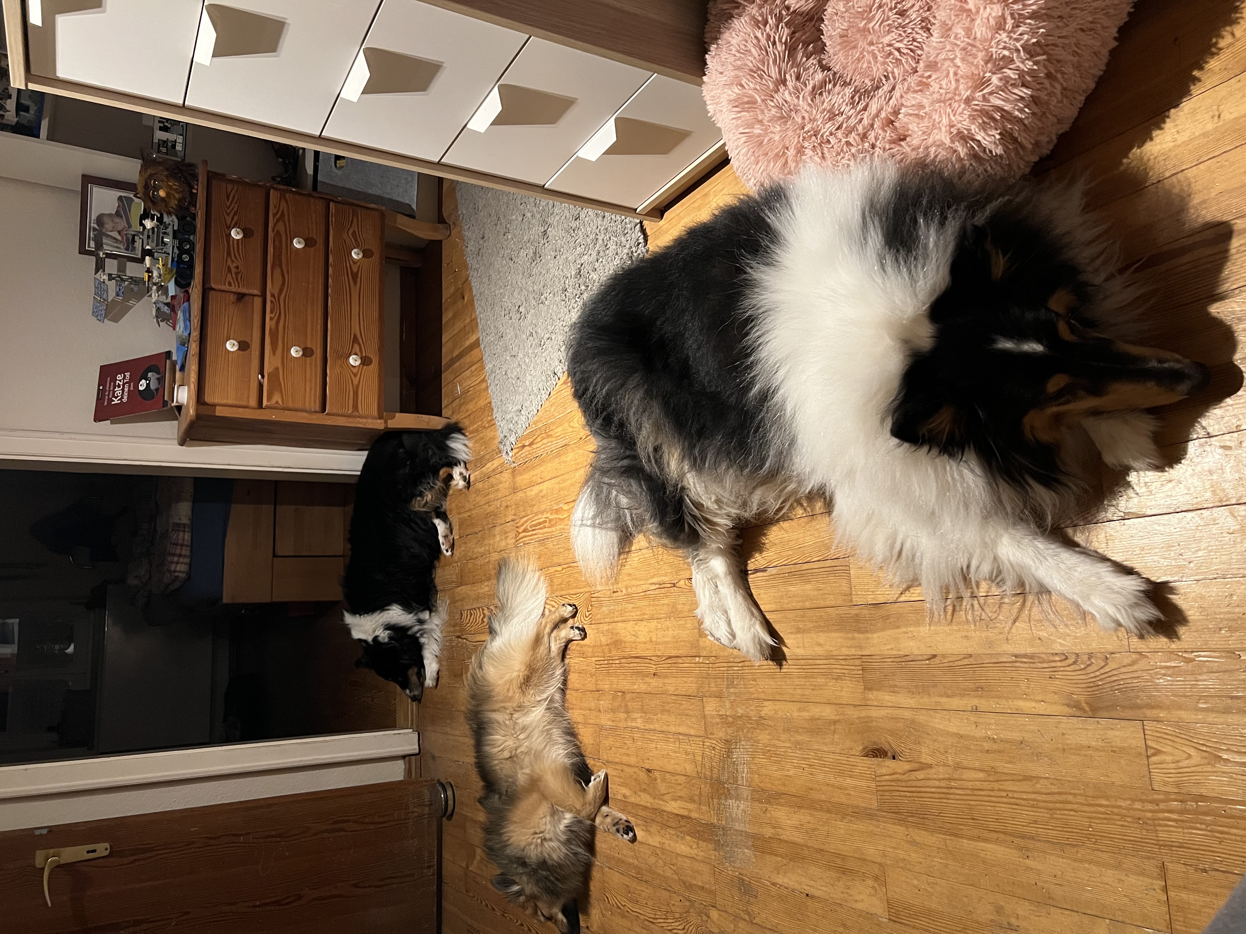 Murphy´s Weisheiten – Jahreswechsel