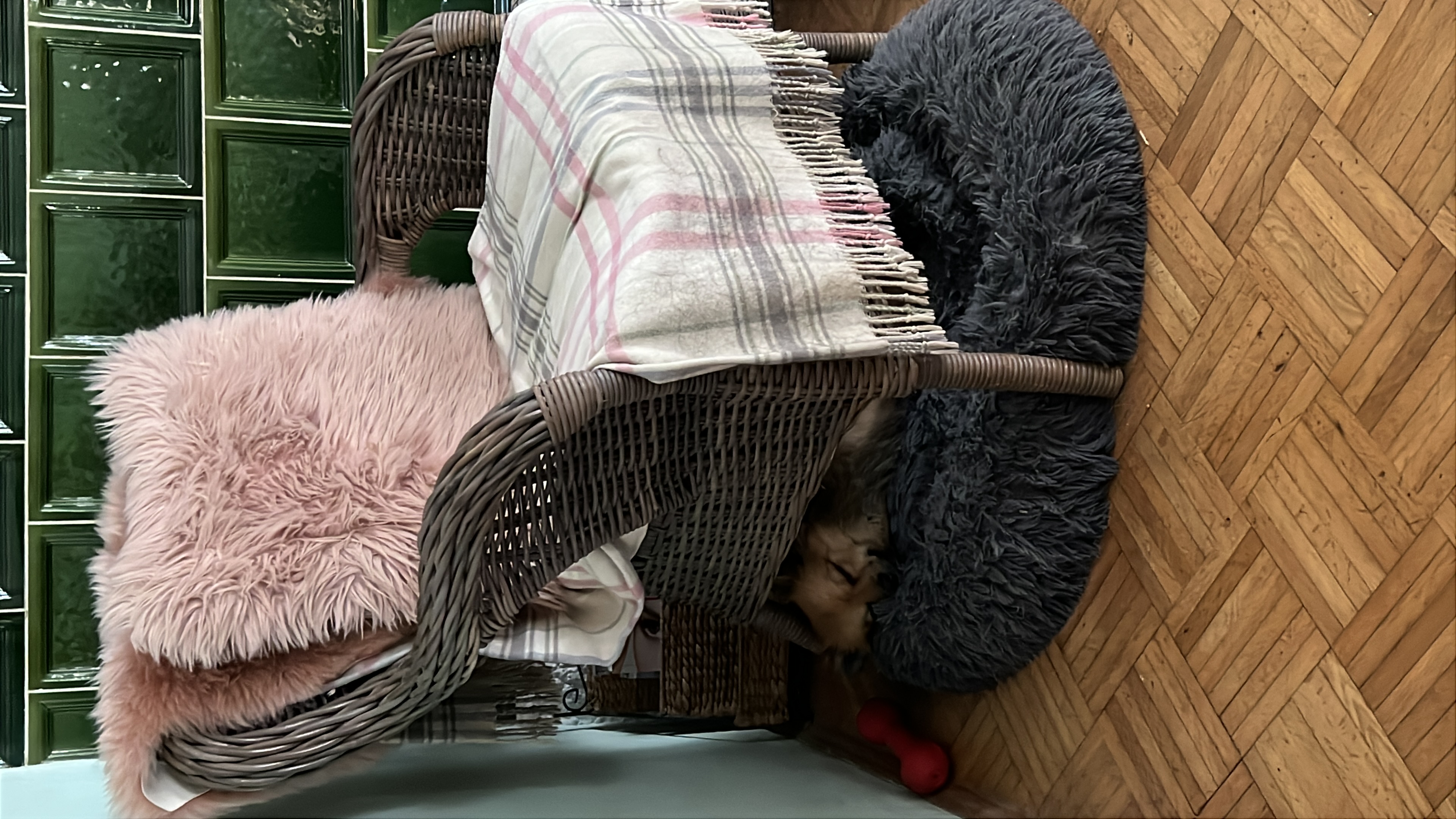 Murphy´s Weisheiten – Jahreswechsel