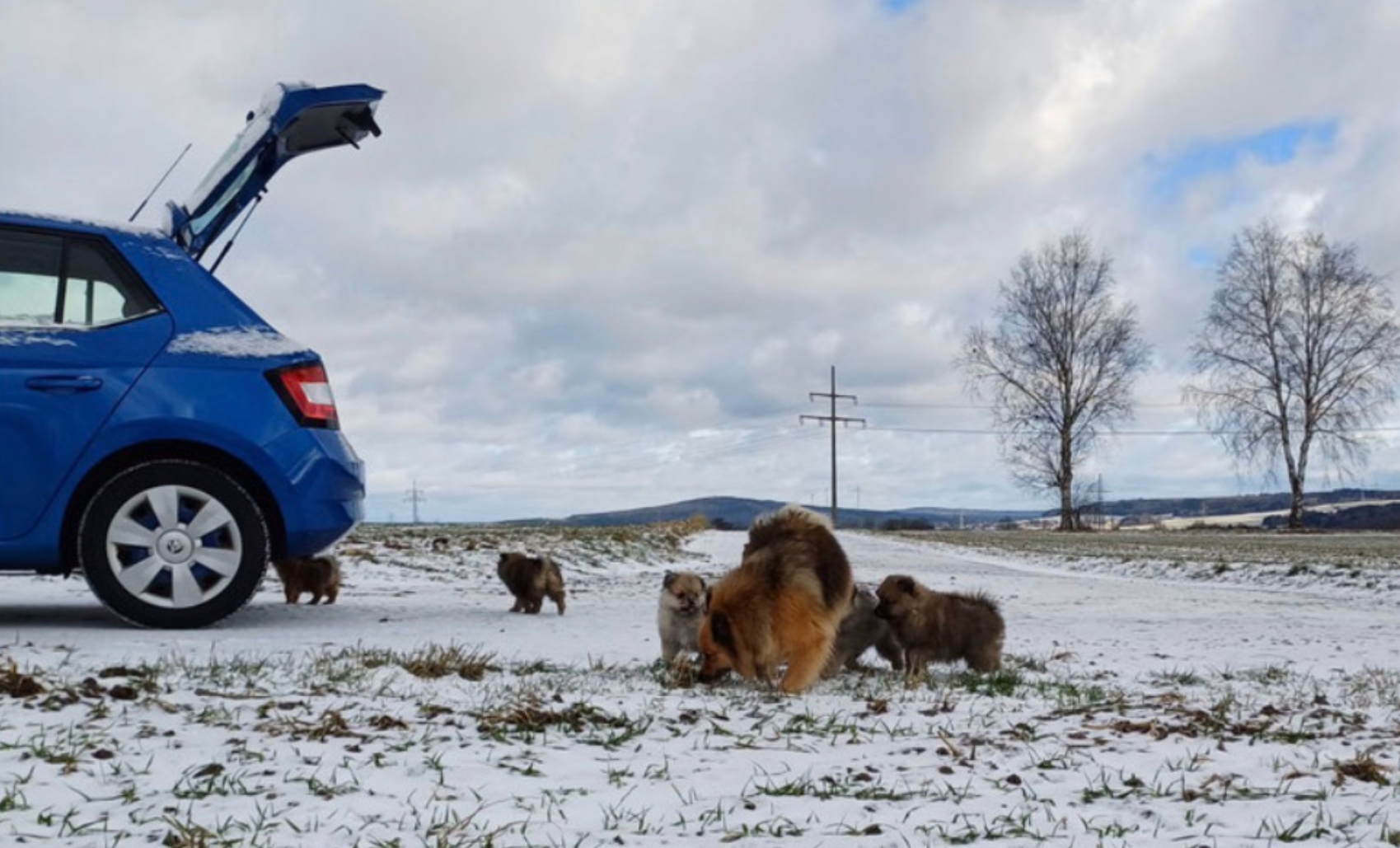 Neues aus der Wurfkiste